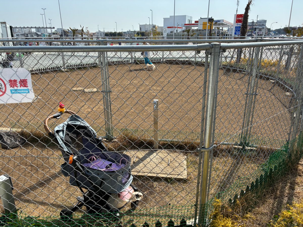 マダヲ tweet media