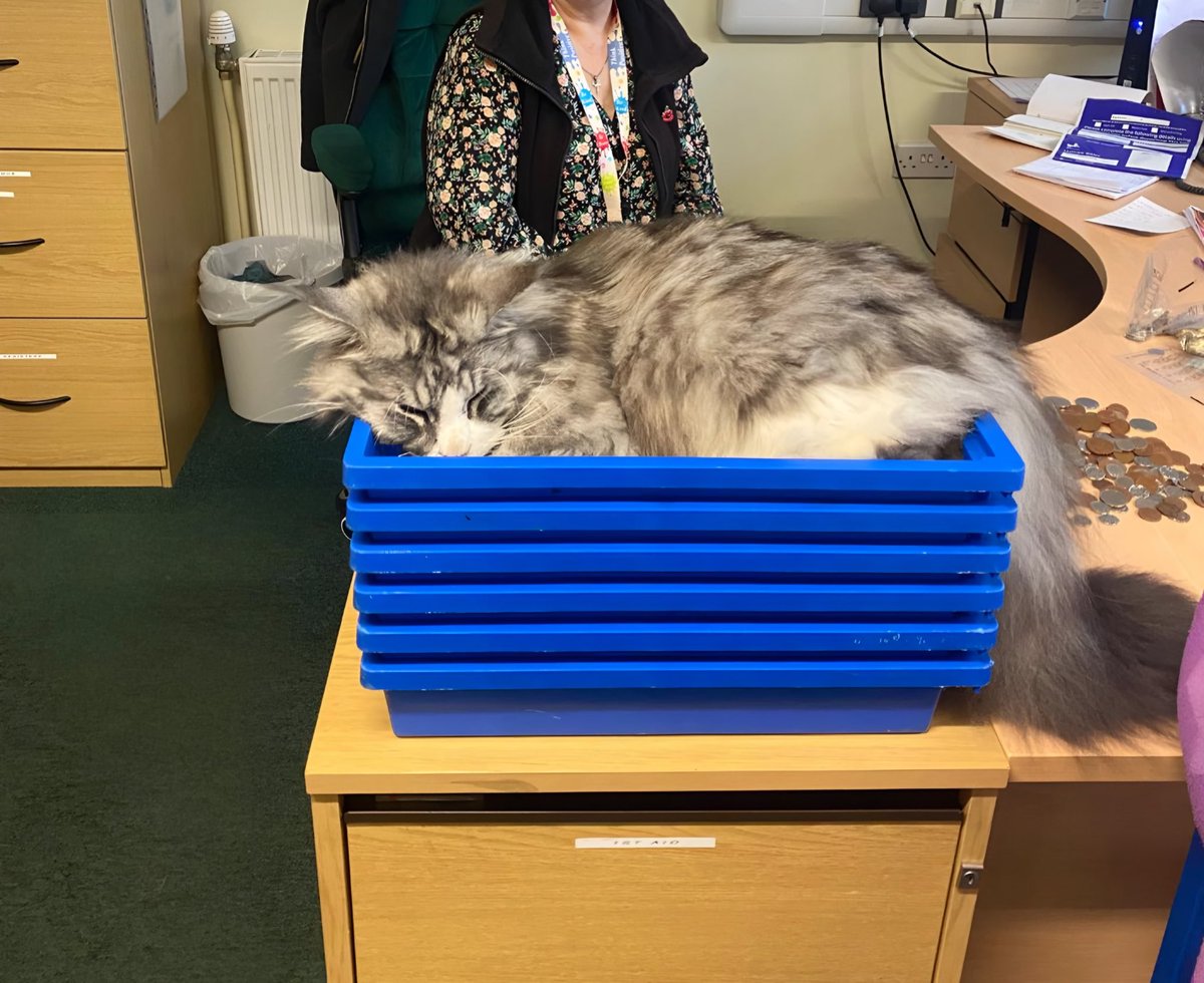 Aloysius O'Hare in memory of Angel Cilla 🌈 tweet media