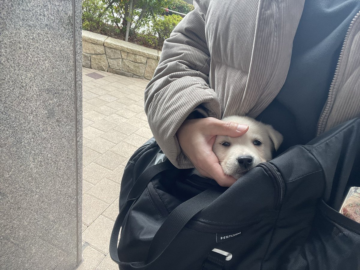 앤느 Aenne tweet media