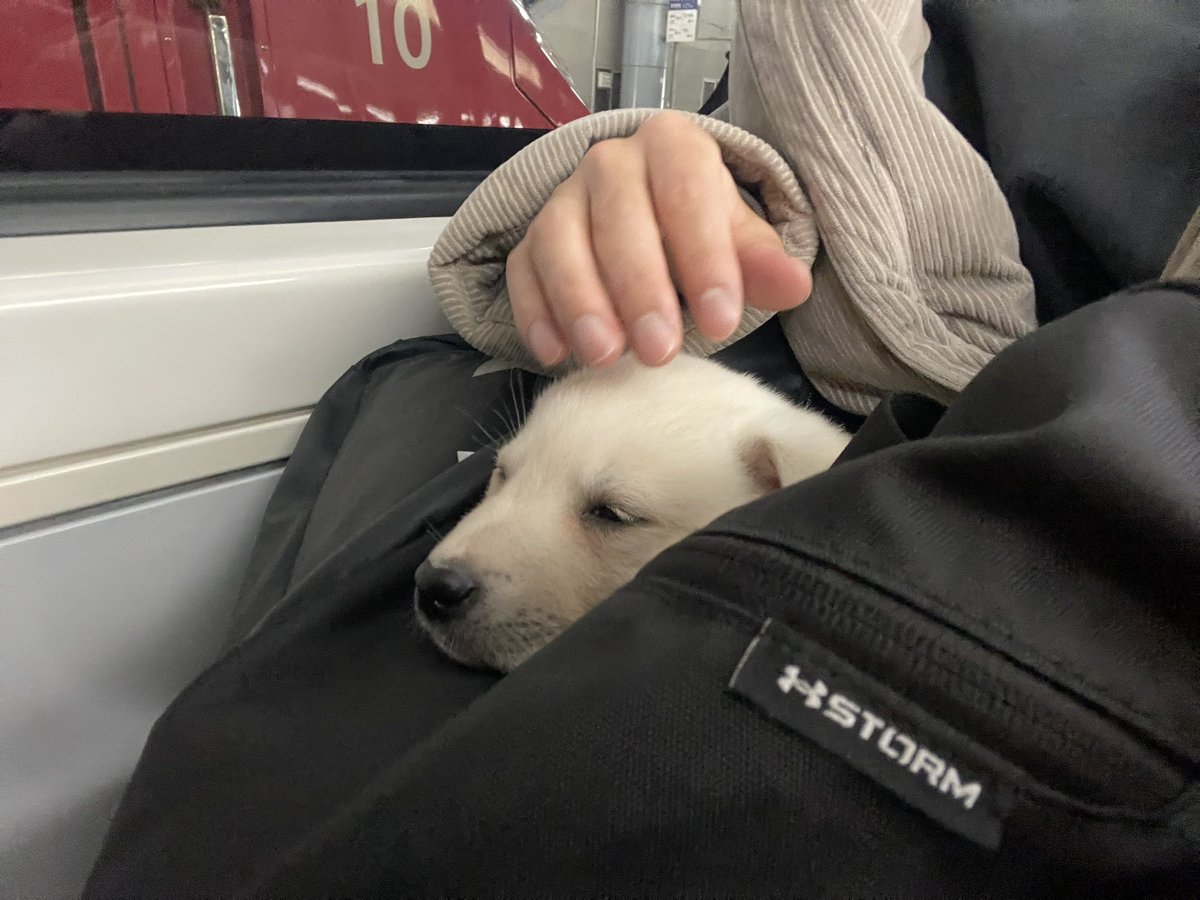 앤느 Aenne tweet media