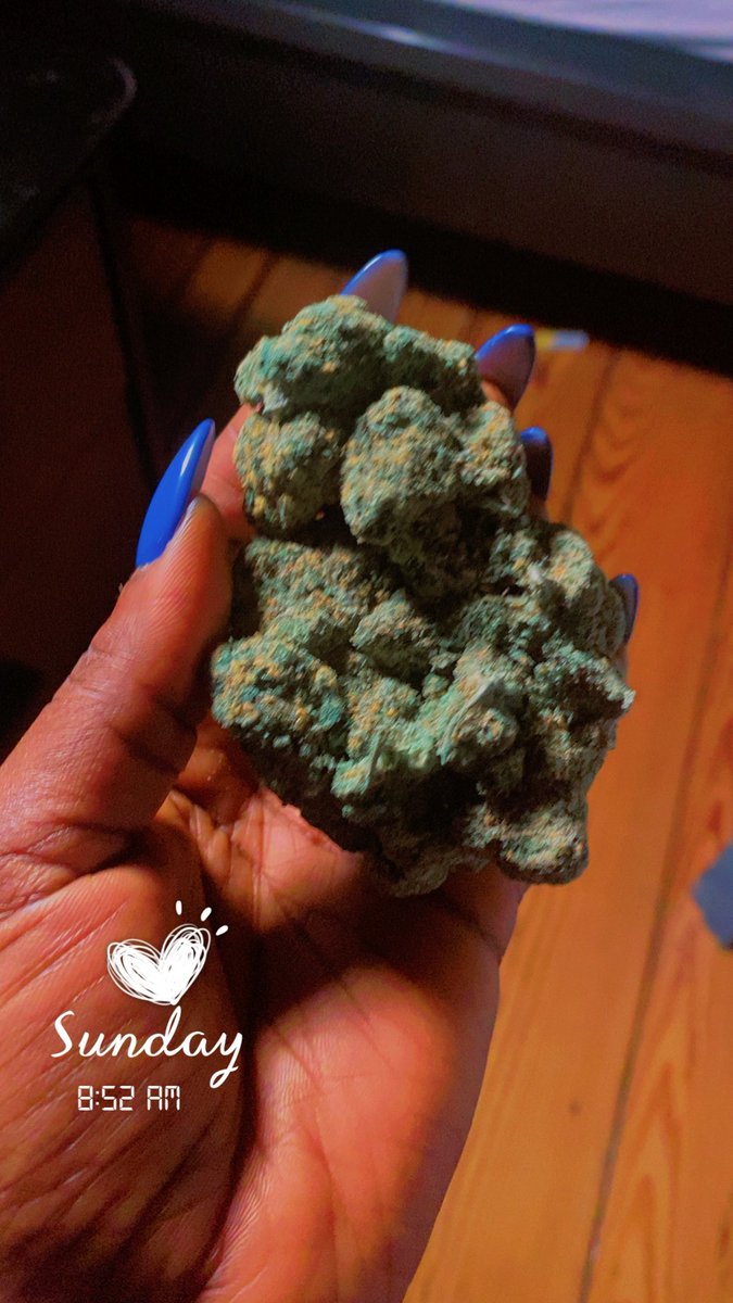 CHEESE~BALL tweet media