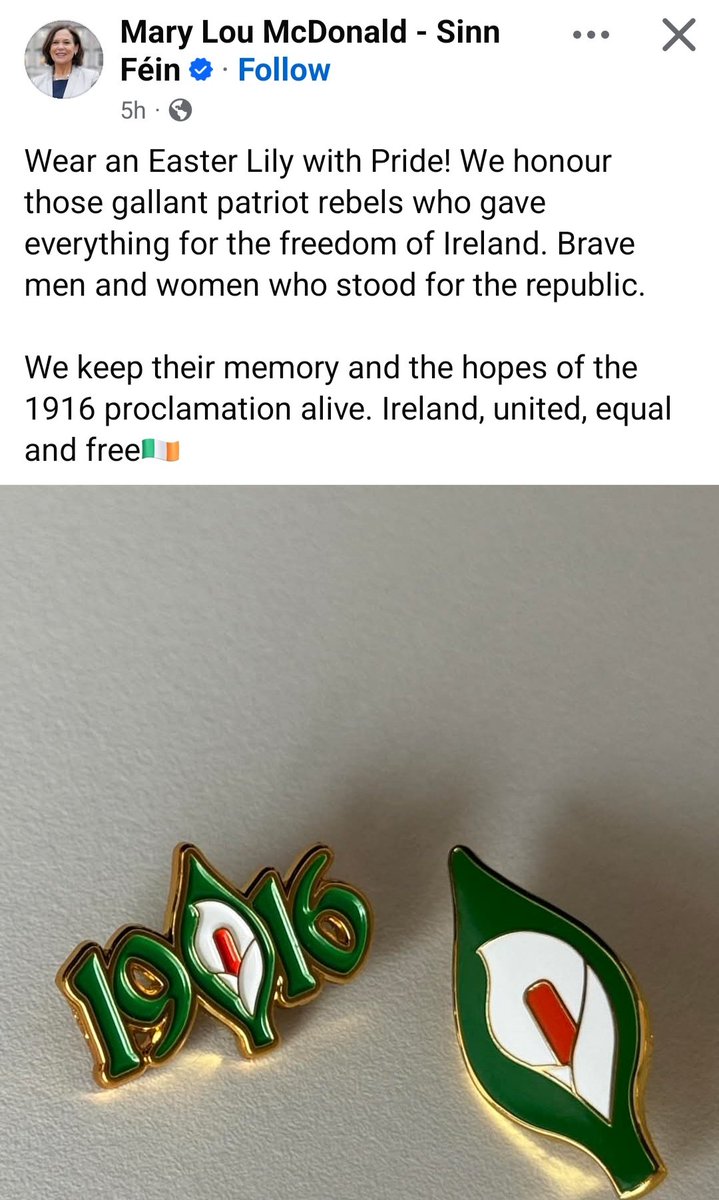 Patrice Johnson 🇮🇪 tweet media