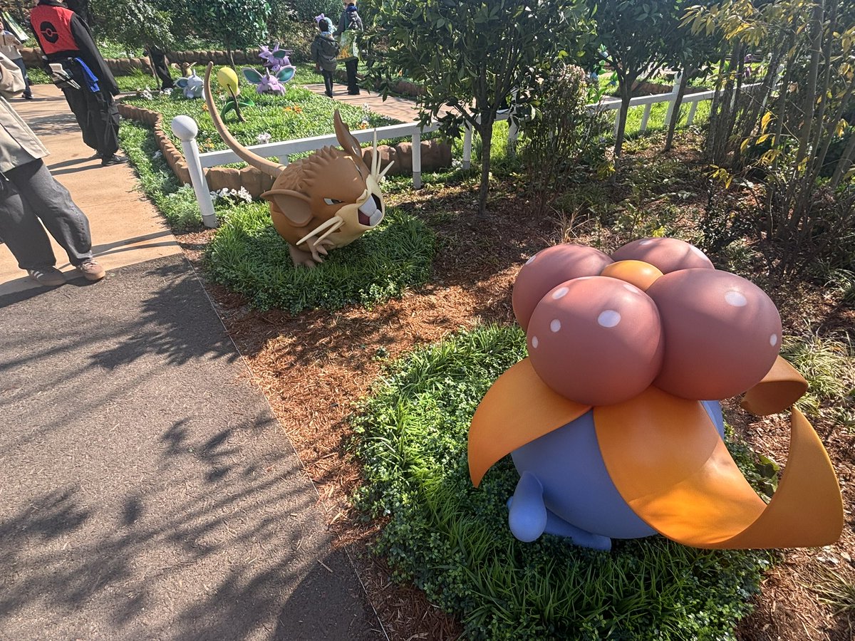 Block Parrot(日本語勉強します) tweet media