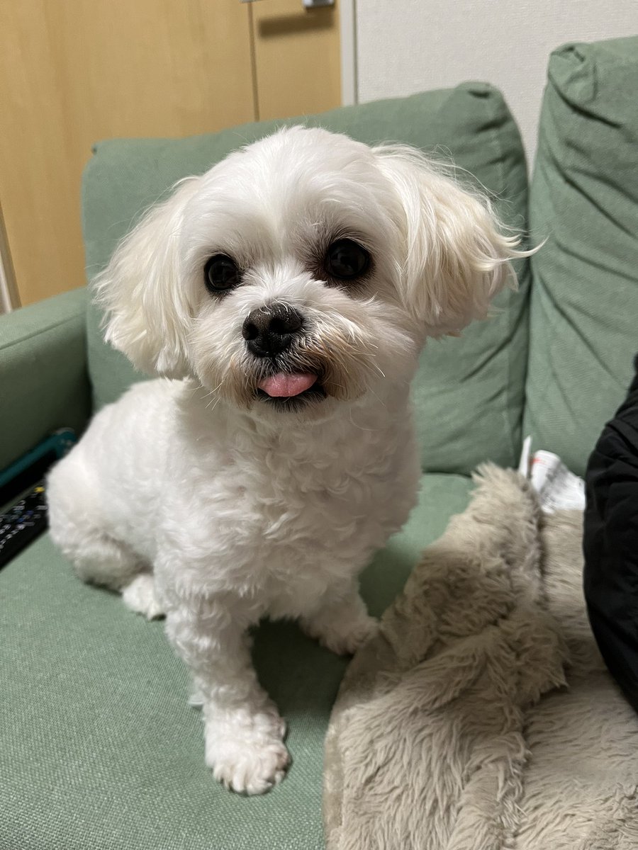 ゆきみちゃん♡ tweet media