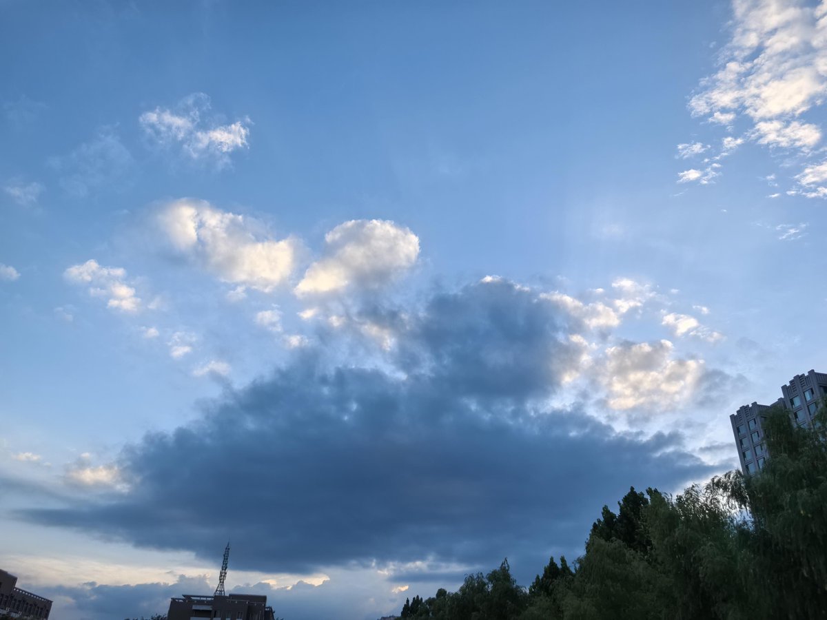 danial karimi tweet media