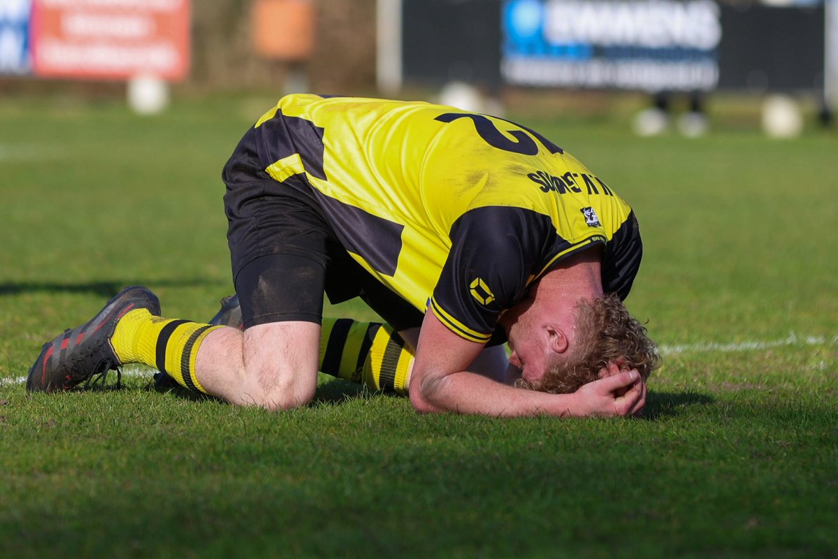 vv GOMOS tweet media