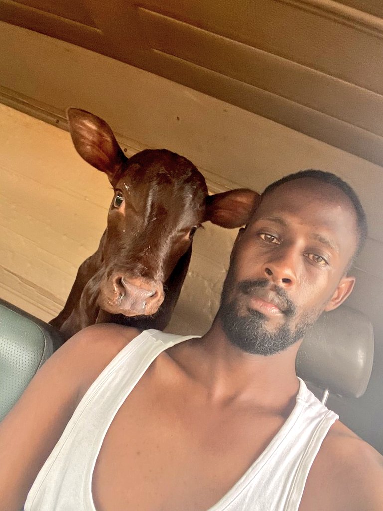 Kigeziteensmg's tweet photo. When you tell him to prove that he is a muhiima 
👇 https://t.co/tb8kRfUy0k