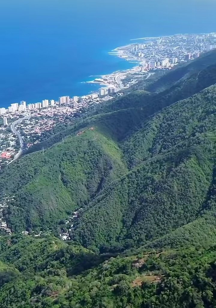 Leonardo Olivares tweet media