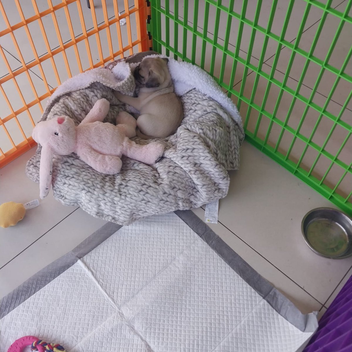 NorthBushman tweet media