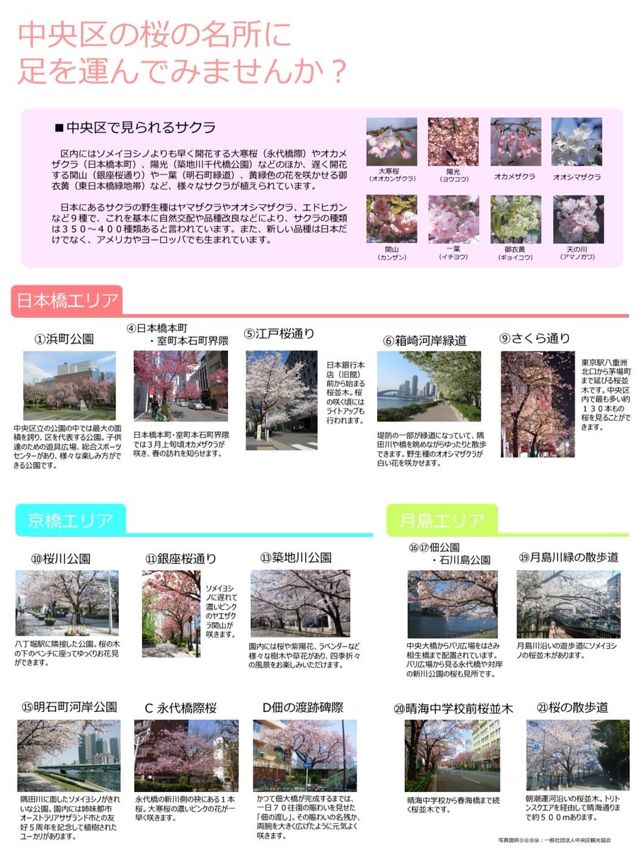 アルール@Utako tweet media