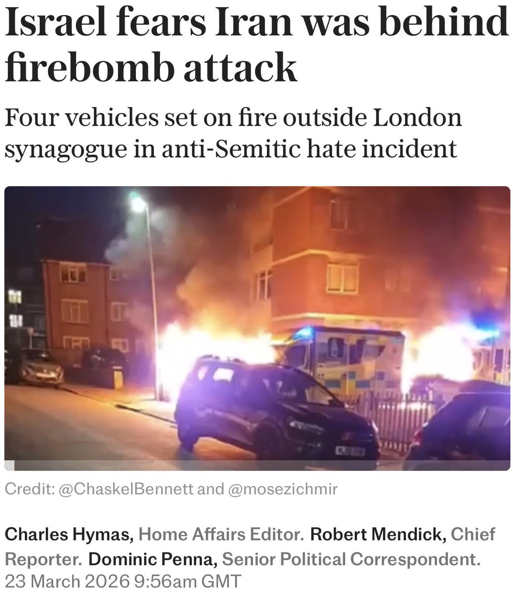 Wolf 🐺 tweet media