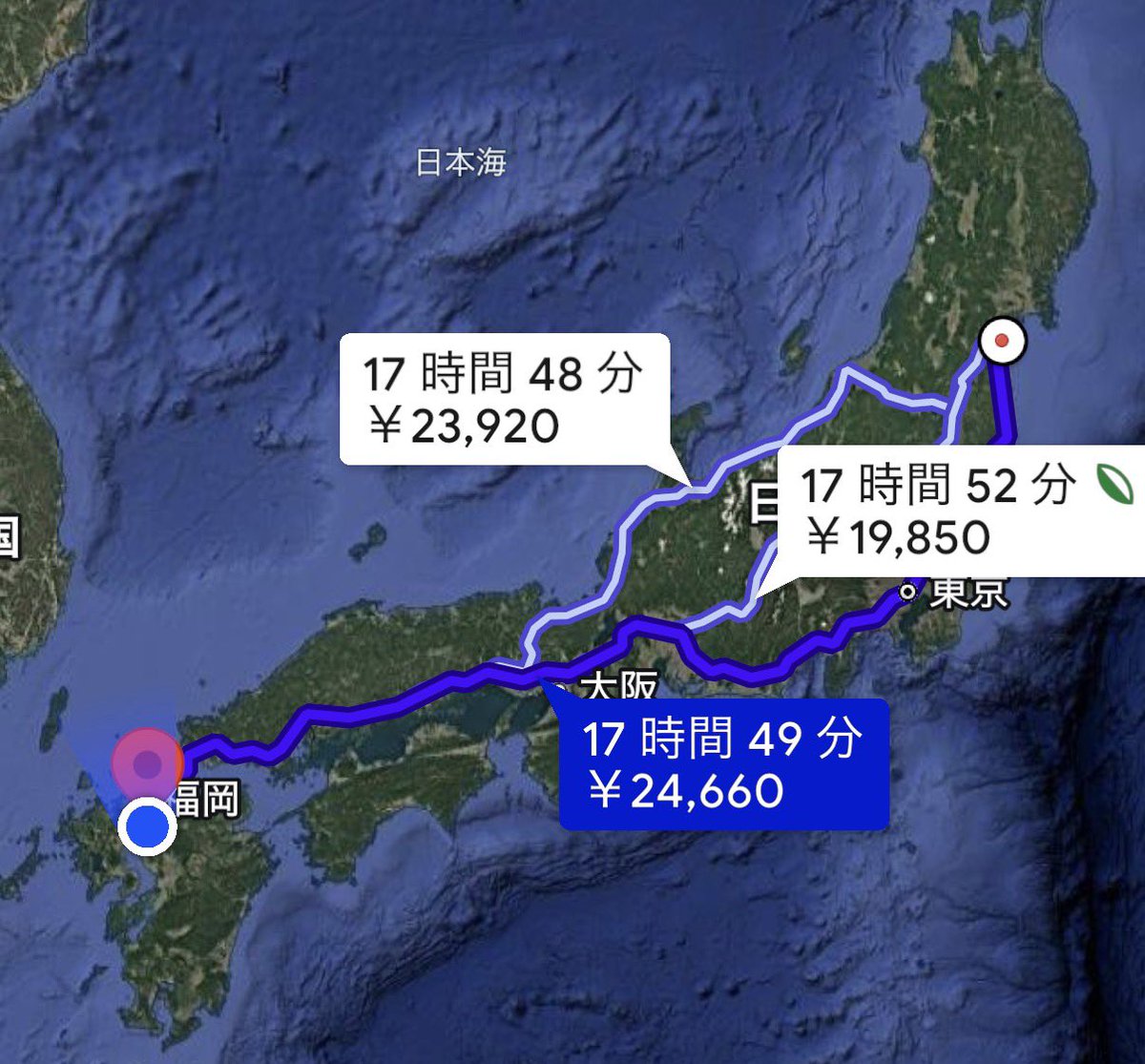 あむあむ tweet media