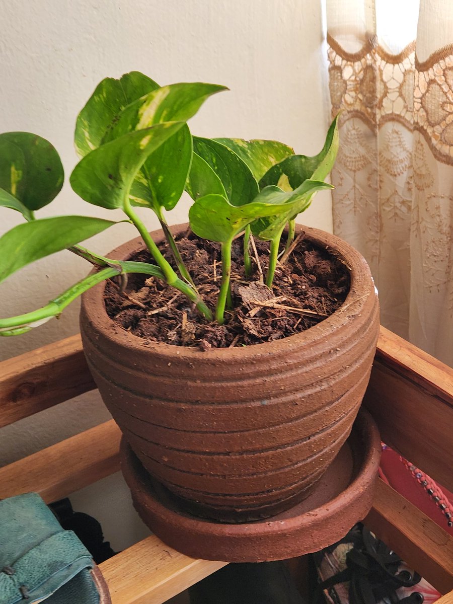 Afrobaby tweet media