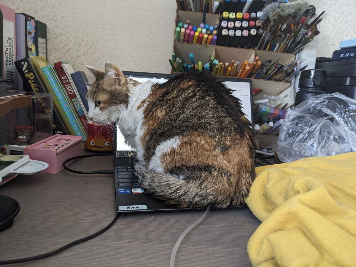 почётный вуглускр tweet media