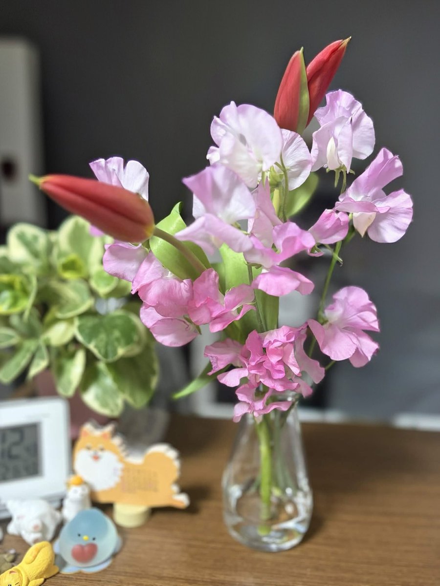 yum_wd's tweet photo. 花のある生活を初めてみた https://t.co/zZx2jAnWdd