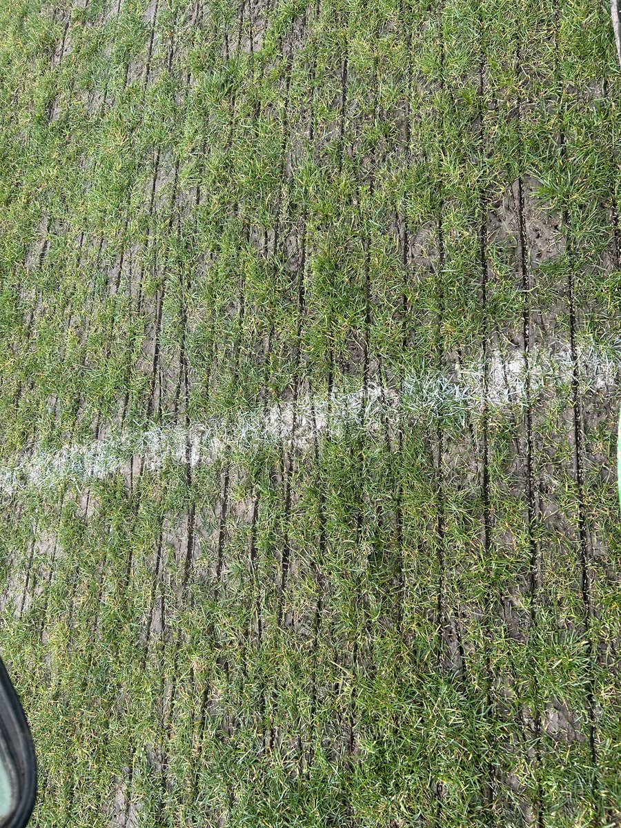 Lawn Doctor Essex tweet media