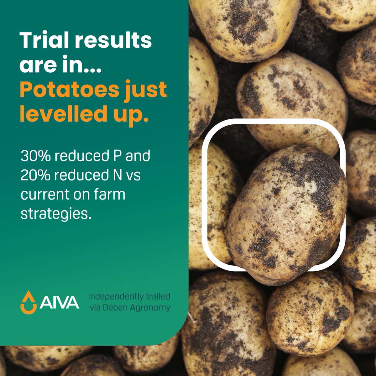 Aiva Fertiliser tweet media