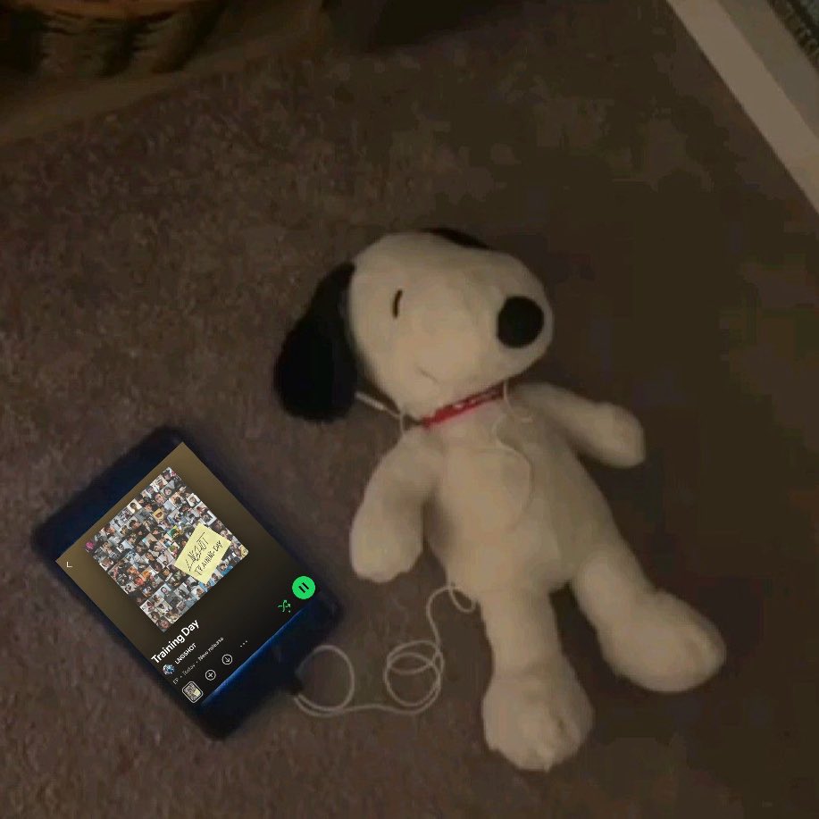 cess 🐈⬛ tweet media