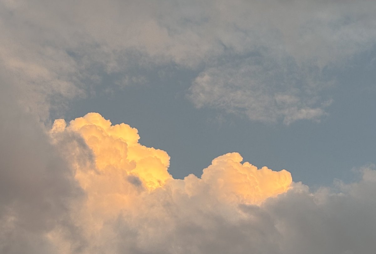 ⋆⭒˚｡⋆ tweet media