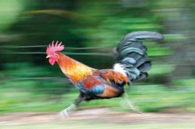 Ukiwa class 4 masaa ya kwenda home alafu ukumbuke ulikuwa umetusi boy wa class 8