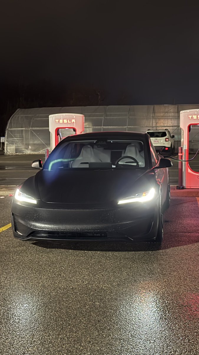 Nic Cruz Patane tweet media