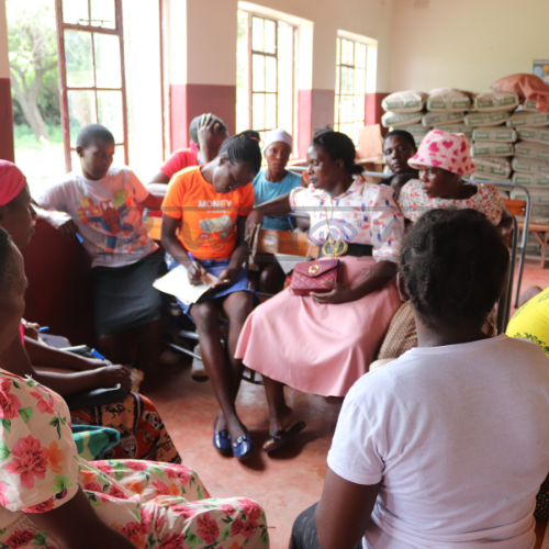 EnvisionTrust's tweet photo. We were on the ground in Hurungwe District, Ward 15 this past week, boosting economic resilience through ISALs and conflict transformation mentoring.

Financial literacy and peaceful resolution bring about economic independence.

#WomensMonth #IWD2026 #GiveToGain https://t.co/WCnPA1LjYr