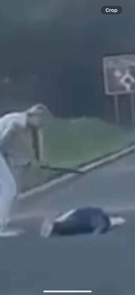 aney stokes tweet media