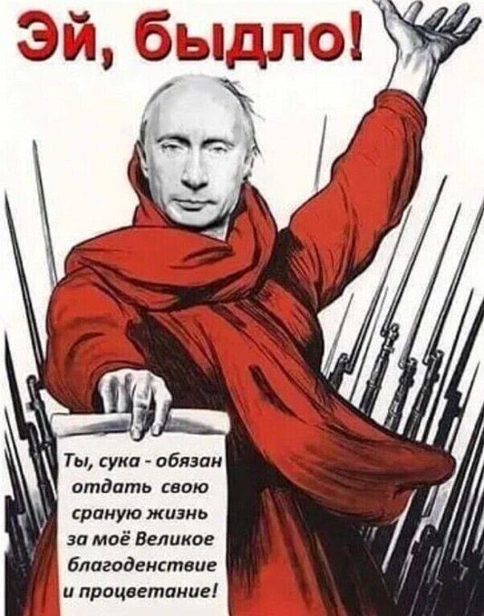 Оливия tweet media