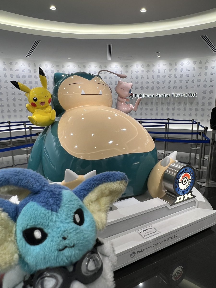 SADAHARU/さだはる tweet media