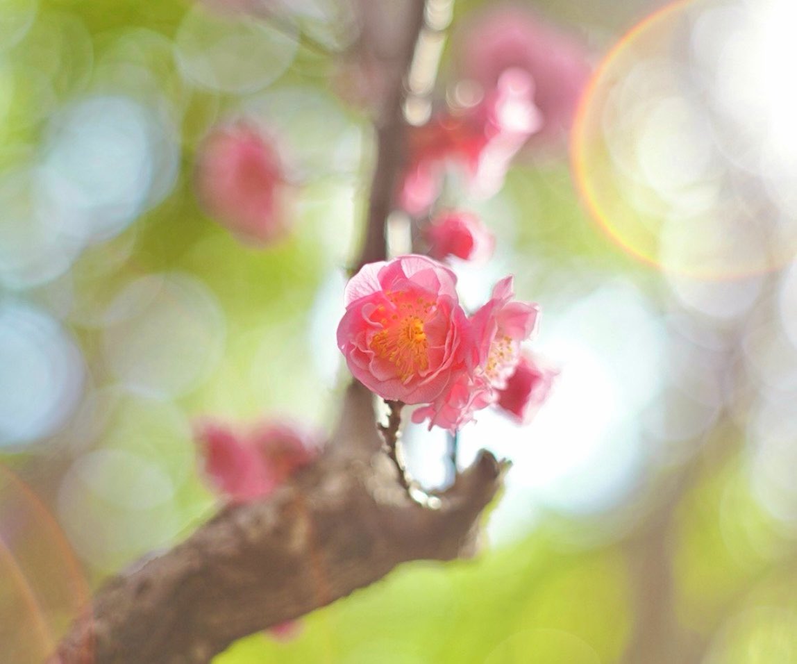 持病があっても幸せに暮らす @じぞう tweet media