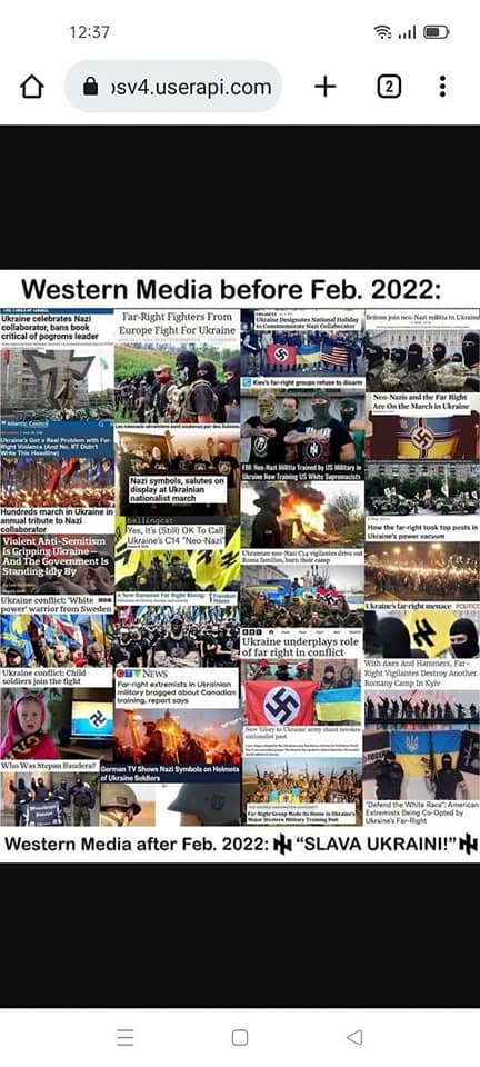 Anthony Ivanovic tweet media