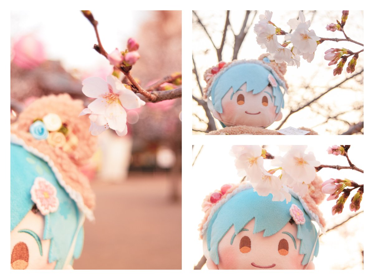 る( ꕹ ) tweet media