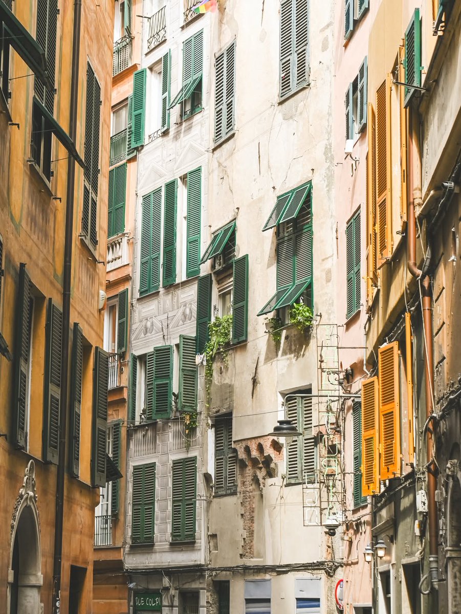 genovamorethanthis tweet media