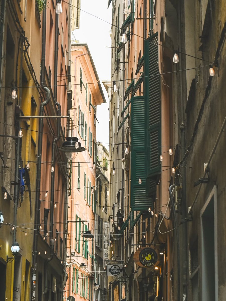 genovamorethanthis tweet media