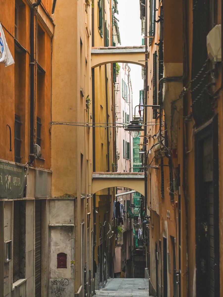 genovamorethanthis tweet media