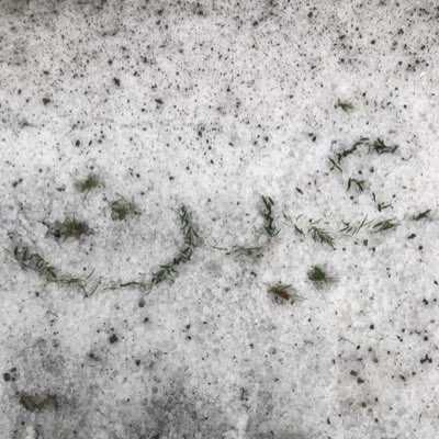 غَيْث tweet media