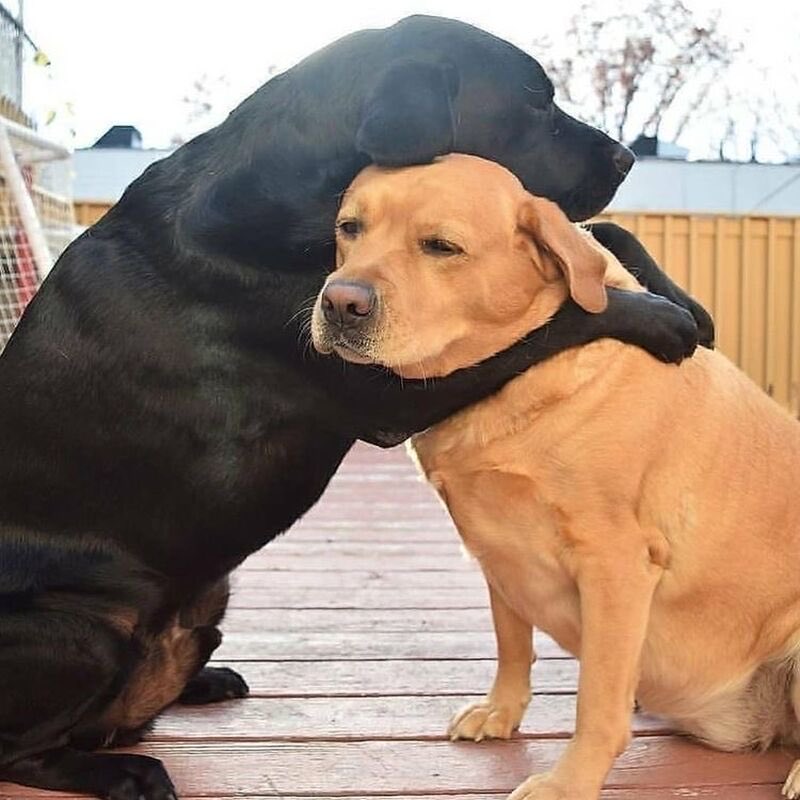 เรามีกันแค่นี้