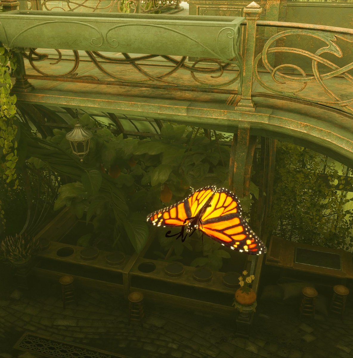 pennyluvu1D's tweet photo. #HogwartsLegacy ππ»π±π
#VirtualPhotography #VPGamers
#PhotoModeWizards #PhotoMode #ArtisticofSociety #WorldofVP #VPRT #VPEclipse #VGPUnite #VPGraph #LandofVP #FutureVPSupport https://t.co/40eSGwHUiN