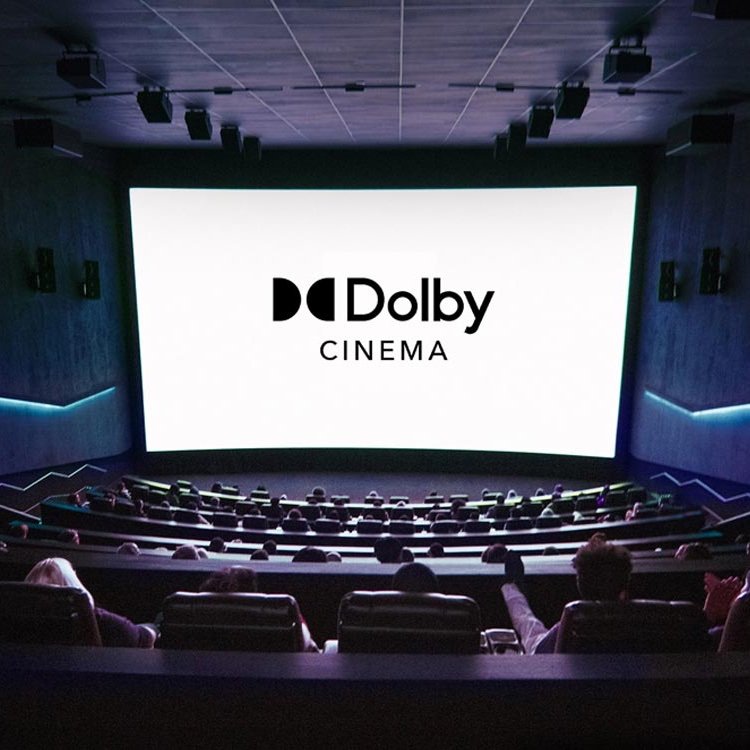 Trichiites tweet media