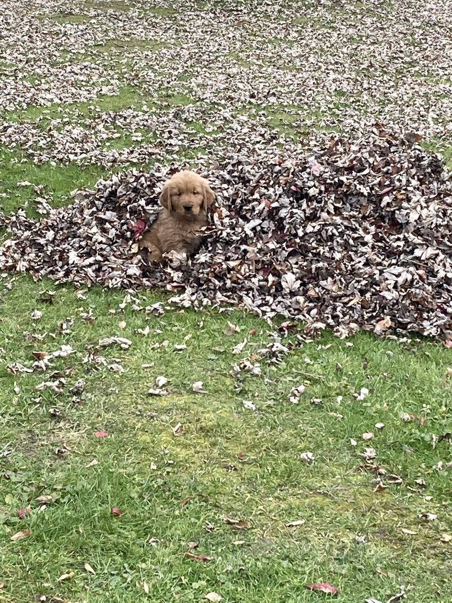 Boomer Boy and Mike tweet media