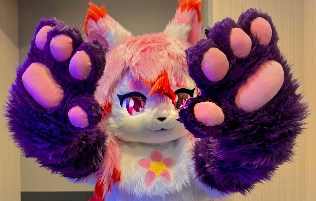 ましゅまろ 🌸Next🌸→Jmof tweet media