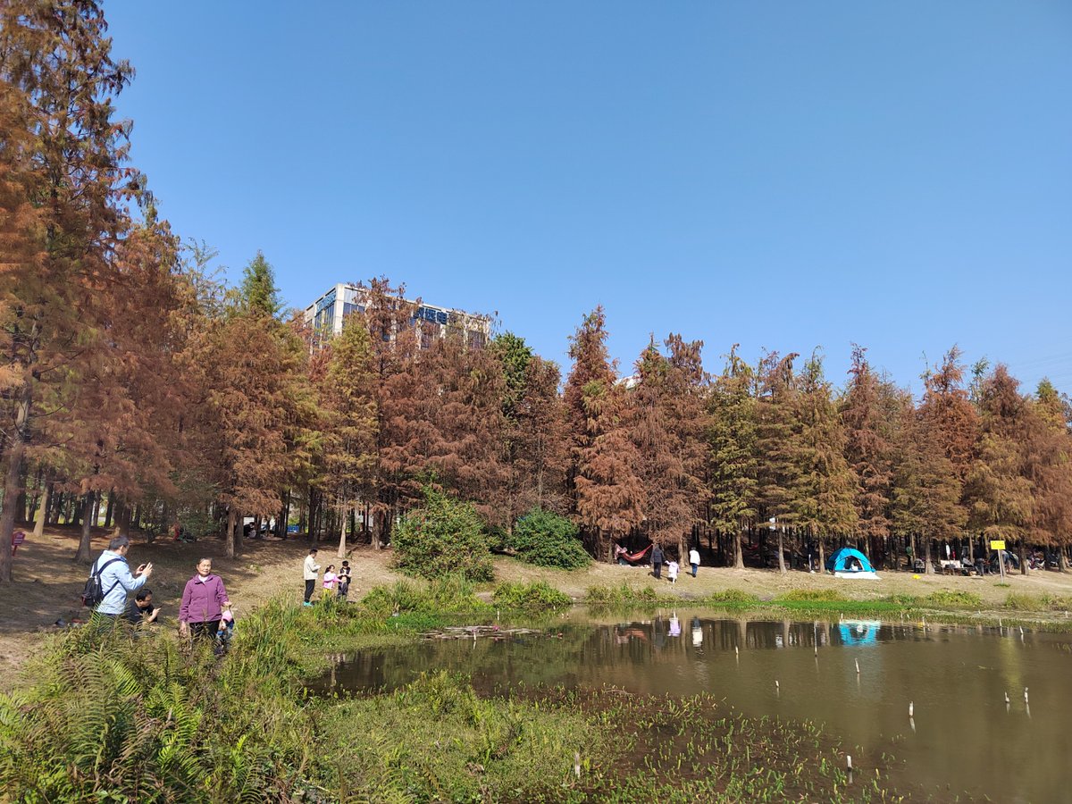 Sajjad Ahmed tweet media