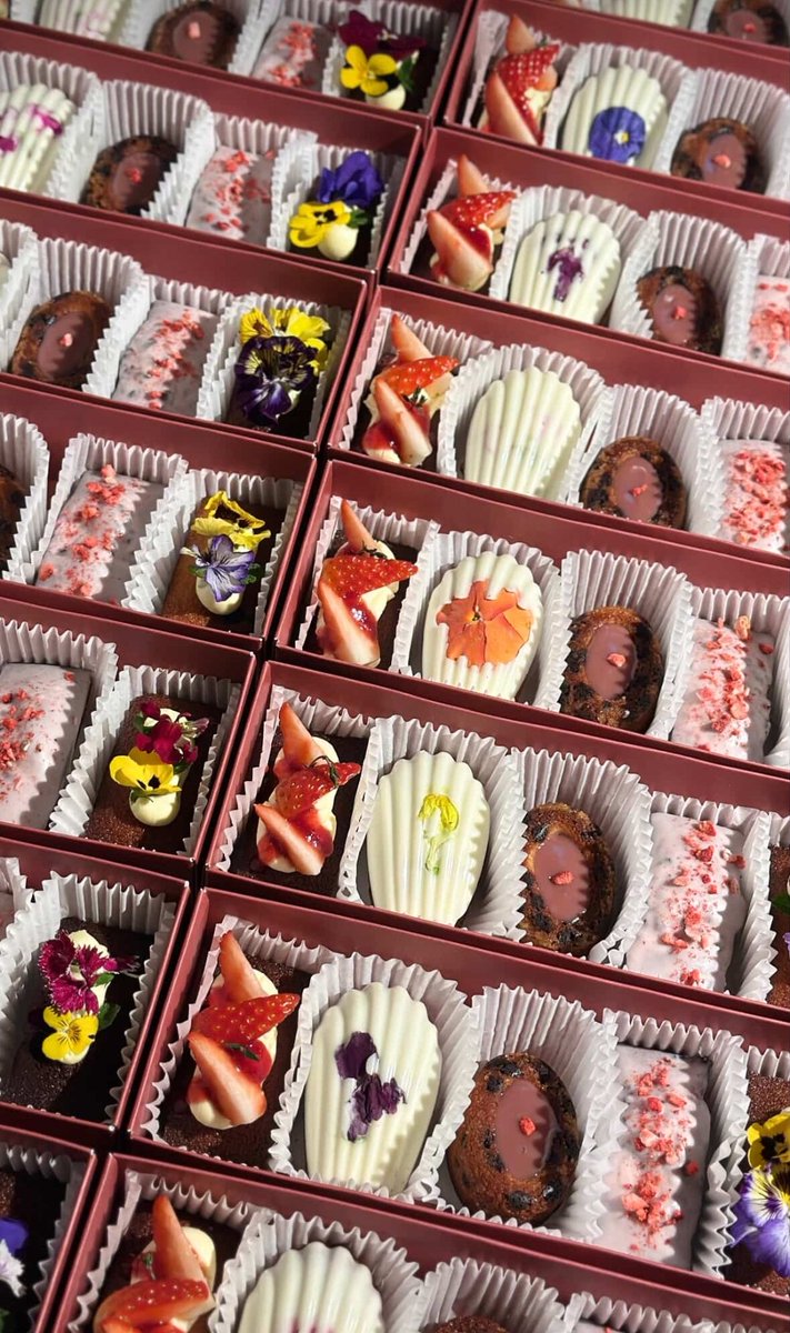 도토리 수확 계정 tweet media