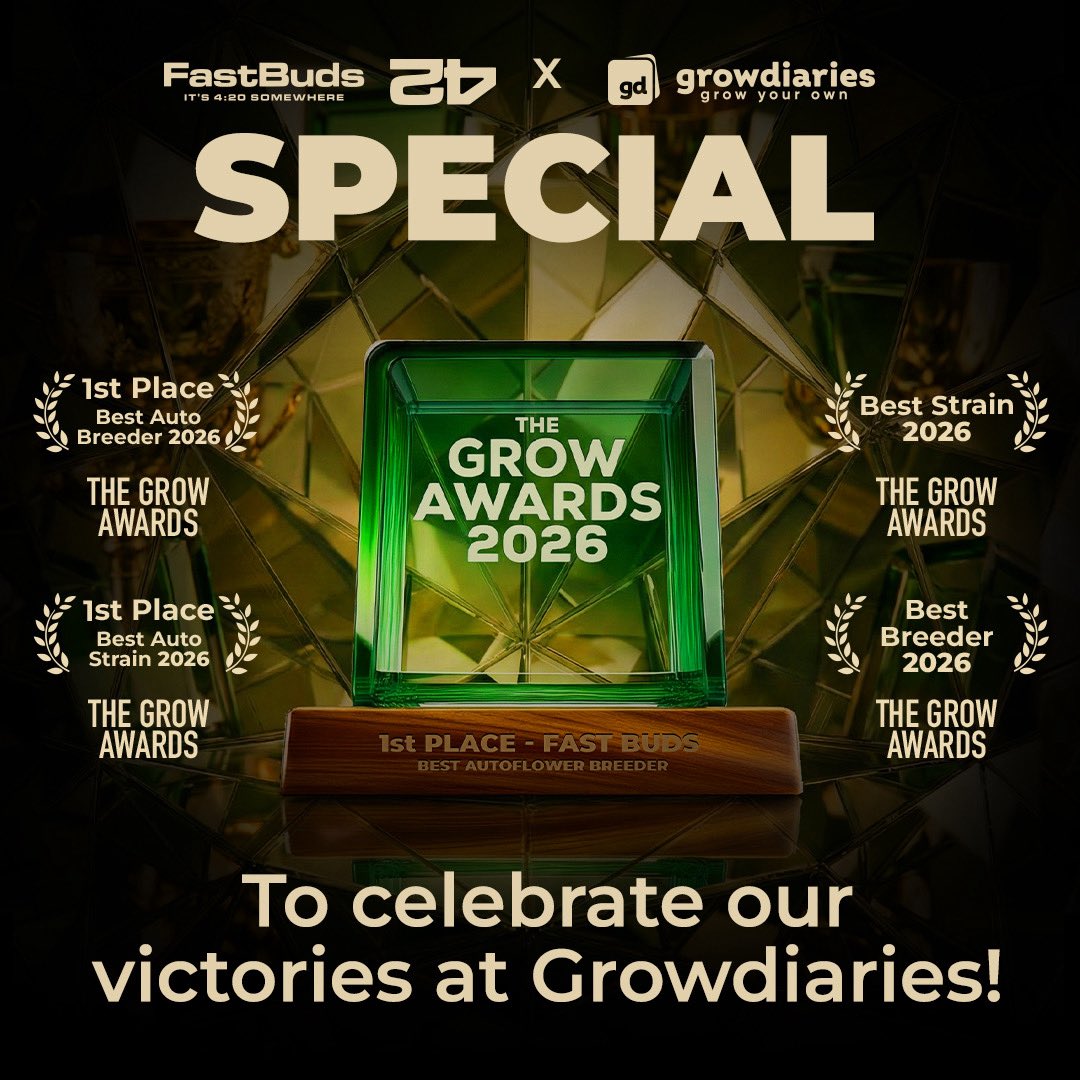 Fast Buds DE tweet media