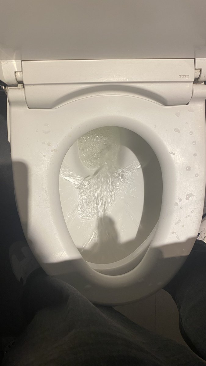 charli.xox tweet media