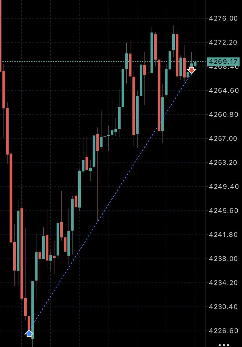 White Rabbit tweet media