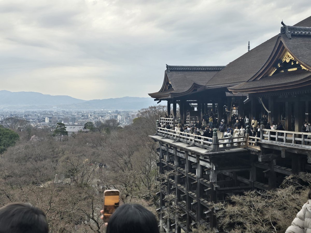 IceClear/アイスクリア tweet media