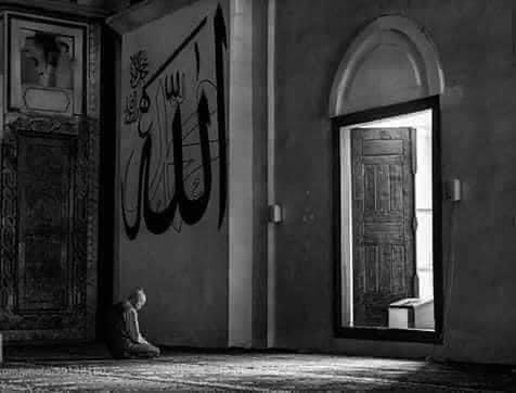 AdelAliBinAli's tweet photo. إن الله حينَ يتولاك، ولايته تهد الجبال، تلين الحديد، تسوق الى قديمك ما كان مستحيلاً . 🤍
" وتولنا فيمن توليتْ " https://t.co/qdZCiBkfsp