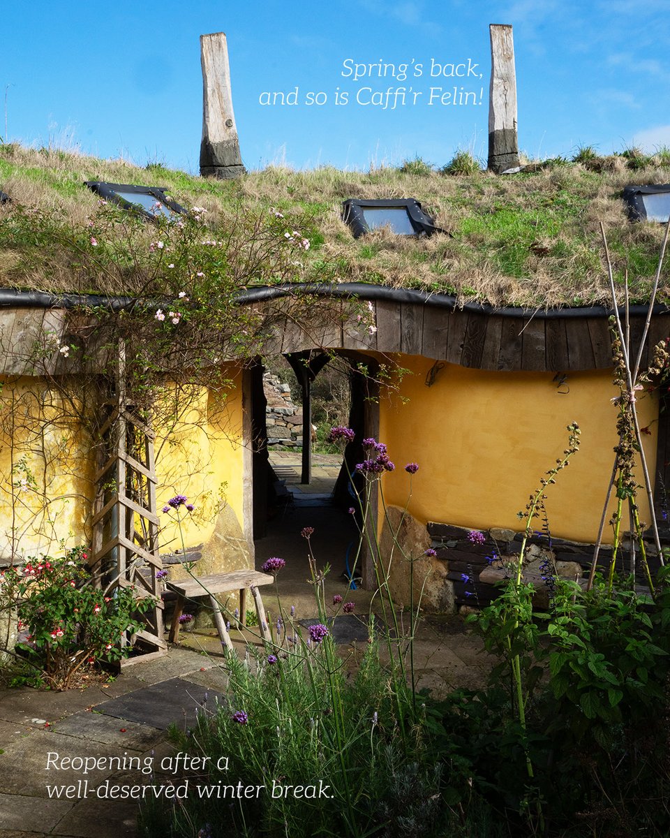 Chilli Penguin Stoves tweet media