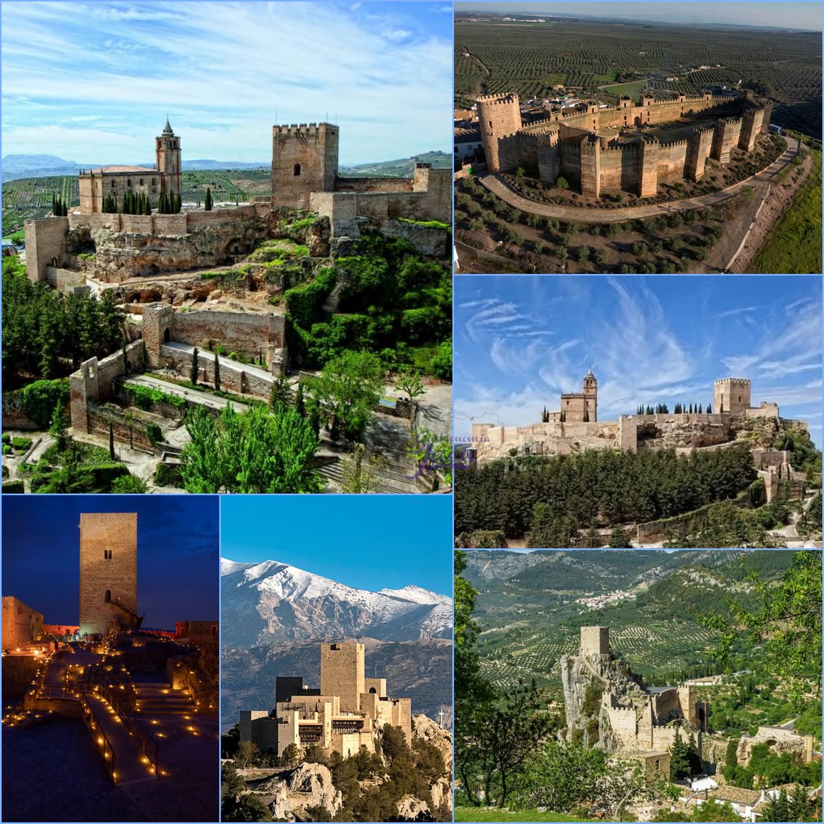 Eduardo Alvarado tweet media